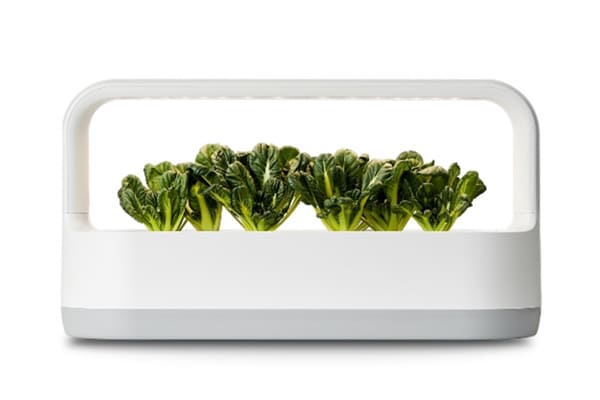 Tiiun”智能蔬菜箱可置放在家中各種角落，創(chuàng)造療愈的氛圍。 